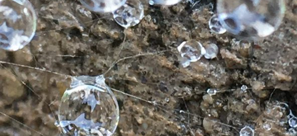 Relationships, Ouch or&nbsp;Awesome?